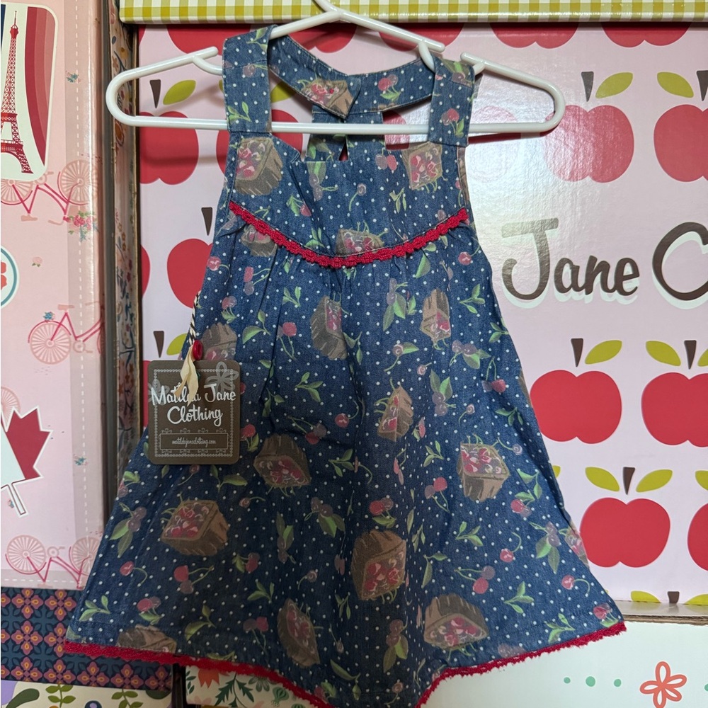 Blue Floral Baby Dress with Red Trim